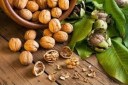 کاهش 1000تنی دسترنج باغداران گردوی استان سمنان به‌دلیل سرمازدگی