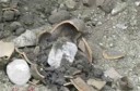 دستگیری حفاران غیرمجاز میراث فرهنگی در ایوانکی
