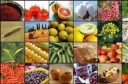 صدور مجوز برای ۴ واحد کشاورزی با ظرفیت تولید ۳۶ هزار تن محصول در سمنان