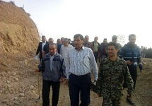 کاشت گیاه باریجه در 600 هکتار از اراضی شهرستان سمنان آغاز شد