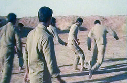 فوتبال در اسارت