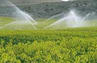 کشاورزان با خدمات بیمه محصولات زراعی و باغی آشنا شوند