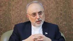آغاز اقدامات سازمان انرژی اتمی برای طراحی سوخت ۲۰ درصد
