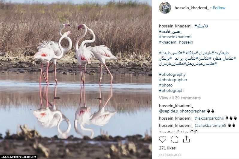 طبیعت زیبا و بکر مازندران
