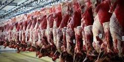 احتکار و قاچاق، راز صف‌های طولانی گوشت
