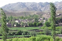 تولید 4.5 میلیون تن انواع محصولات کشاورزی در استان