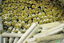 افزایش کشف  گل  در استان مرکزی