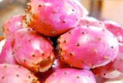 این میوه خار دارد، به آن دست نزنید!