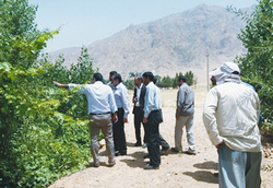 اجرای طرح بسیج &laquo;همگام با کشاورز&raquo; در ۷۵۰۰ روستای کشور