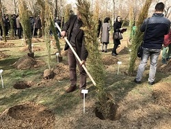 ۶۰۰ هزار اصله نهال تولیدی نهالستان‌های سمنان در روز درختکاری توزیع می‌شود