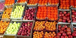 180 هزار هکتار باغ‌ها و اراضی زراعی آذربایجان‌شرقی تحت پوشش بیمه