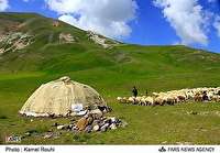 عشایر آذربایجان‌ غربی 42 درصد از تولیدات کل عشایر کشور را به خود اختصاص داده اند