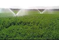 اجرای سیستم آبیاری تحت‌فشار در ۵ هزار هکتار از اراضی کشاورزی استان سمنان