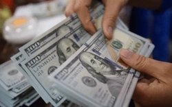 قیمت دلار در بالاترین سطح ۱۳ ماه اخیر قرار گرفت