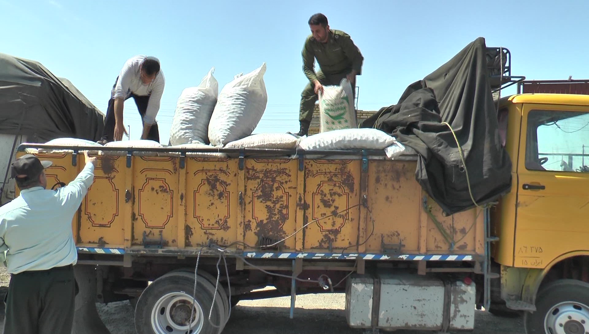 محموله گردو قاچاق در دشتی کشف شد