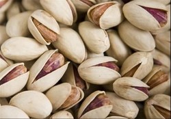 ادامه صادرات پسته برای حفظ بازار‌ صادرات