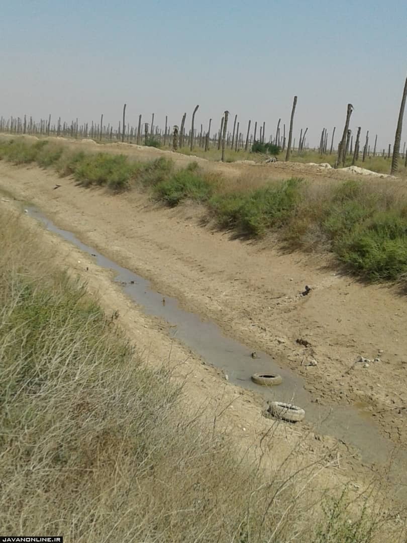 خونین شهری که هنوز خرمشهر نشده است+ تصویر