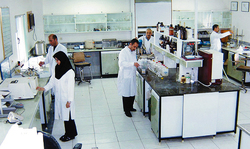 «قطب»‌ات را دریاب