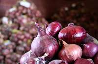 بیش از 3600 تن پیاز از مزارع شاهرود برداشت می‌شود