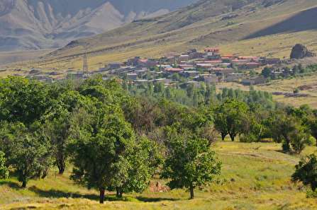 طرح حفاظت از مراتع در ۹ شهرستان استان مرکزی در حال اجرا است