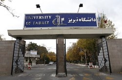 تعاملات علمی و فرهنگی ایران و ترکیه توسعه می‌یابد