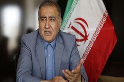 مخالف اجرای طرح انتخابات استانی مجلس هستم