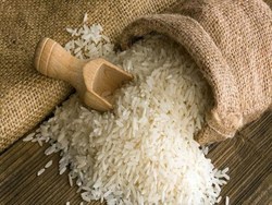 برنج مازندران پس از ۴۰ سال به اروپا صادر شد