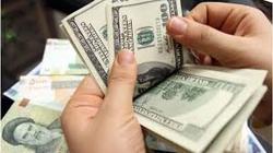 دلالان منتظر افزایش قیمت ارز نباشند؛ جهشی رخ نخواهد داد