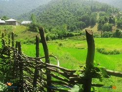 دستگیری غارتگران منابع طبیعی درشهرسميرم