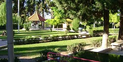 تبریز5 میلیون درخت کم دارد