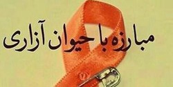 متهمان حیوان آزاری در تبریز دستگیر شدند