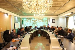 اصلاح نژاد و تکثیر مرغ بومی کشور نیازمند مدیریت علمی است