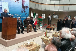 صالحی امیری:تندیس بزرگان ورزش را می‌سازیم