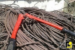 سارقان حرفه اي كابلها گرفتار شدند