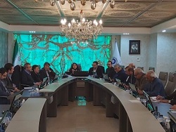 بحران تامین سنگ آهن برای واحدهای فولادی باید برطرف شود