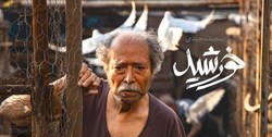 «خورشید» اثری درخشان برای کودکان کار