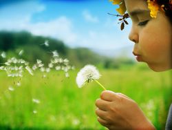 زندگی از کدام دریچه؛ فشار سخت یا یک فوت ساده؟!