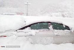 انسان‌های نخستین هم اینچنین غافلگیر نمی‌شدند!