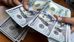 جزئیات قیمت رسمی انواع ارز/نرخ ۴۷ ارز ثابت ماند