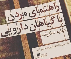  راهنمای مُردن با گیاهان دارویی  مخاطب را با حواس خود درگیر می کند