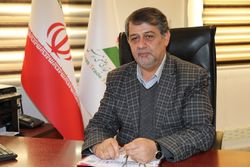بررسی ۱۸۲ طرح سرمایه‌گذاری اشتغالزا در منطقه آزاد