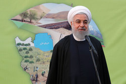 تعداد درختان تهران نسبت به اول انقلاب ۱۶ برابر شده است