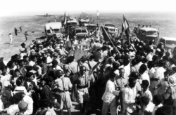 تراژدی شکستِ یک نهضت پیروز
