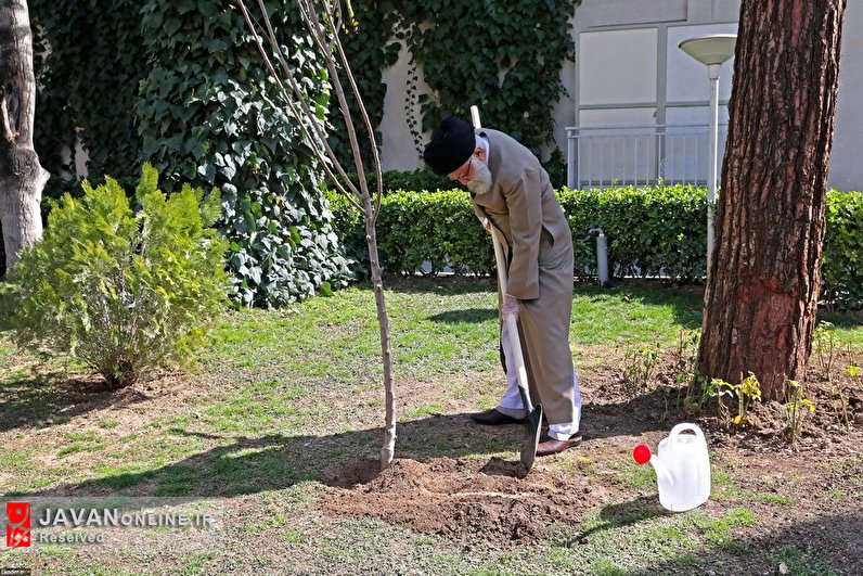 کاشت نهال توسط رهبرمعظم انقلاب در هفته منابع طبیعی