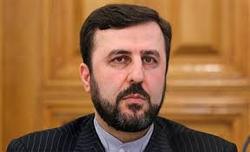 غریب آبادی: ایران قربانی سلاح‌های شیمیایی است