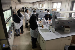 در مصائب دکتری گرفتن