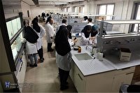 در مصائب دکتری گرفتن