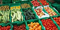صادرات ۳۳۴ میلیون دلاری کالا‌های کشاورزی از آذربایجان شرقی