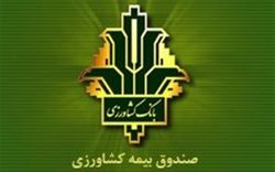 غرامت محصولات باغی و زراعی در آذربایجان‌شرقی پرداخت شد