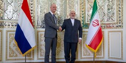 دیدار وزیر خارجه هلند با ظریف